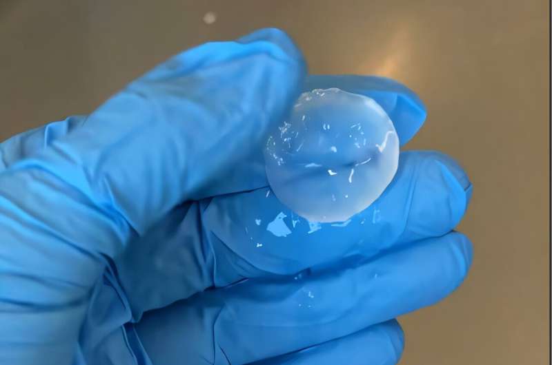 Bacterial spores for sustainable smart materials